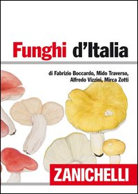 Funghi_D`italia_-Boccardo-traverso-vizzini